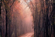 [球之夜]高准翼：我对中国球的未来充满期待.