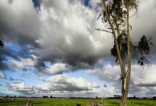 开云体育：恰20：这种水平每两三天踢一场不容易；世界杯是下一个目标.