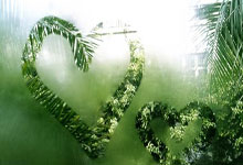 坏消息，勇士队的库里因背部受伤被排除在对阵雄鹿队的比赛之外.